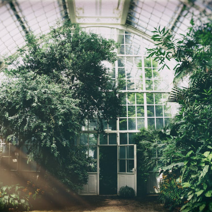 how greenhouse work